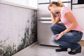 Best Black Mold Removal  in Rinna, VA